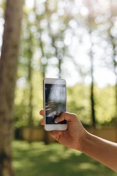 A man is taking photos while looking at the park. Stock Photos