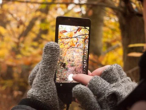 Man taking a picture with camera smart phone touch screen nature outside autu Stock Photos