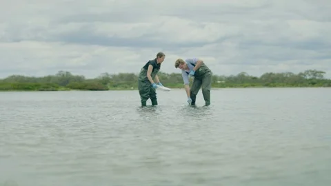 Man taking soil samples in water waders and boots with female assistant - wide Stock Footage 106421760
