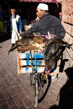 Man taking some dead cocks on his bike through the market Stock Photos