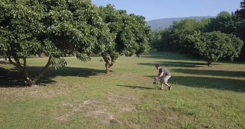 A man is taking video in park through sunny in Chiang Mai Thailand Stock Footage 100744230