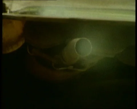 Man talking about ecosystem and smoke pollution, UK, 1986 Stock Footage 142213462