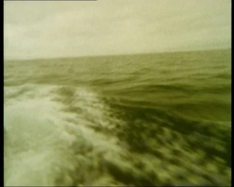 Man talking about sea ecosystem and ocean state, UK, 1986 Stock Footage 142213368