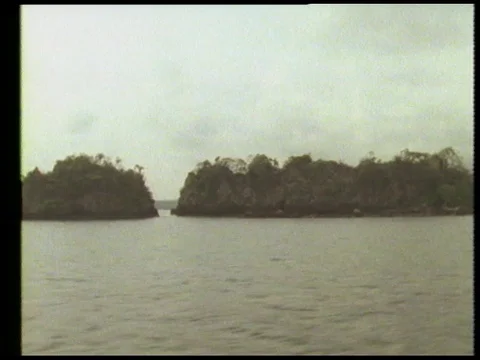 Man talking about town while villagers riding boats, 1990 Stock Footage 136673574