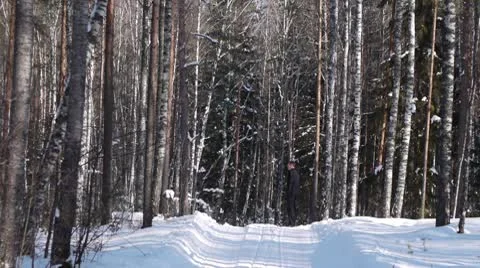 Man talking on a cell phone 스톡 동영상 10786605