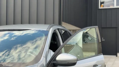 Man talking on phone while exiting car Stock-Footage 336748683