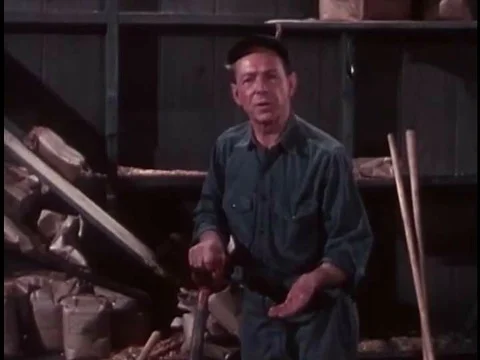 A man talks about how, with no provocation whatsoever, a shelf in his barn fell Video stock 74935829