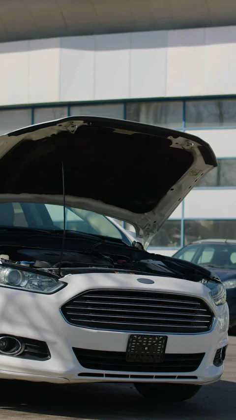 Man talks on phone looking at engine compartment of car Stock Footage 320394177