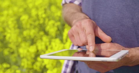 Man tapping tablet outdoors in bright daylight Stock-Footage 336498869