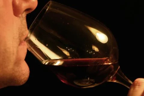 Man tasting red wine 스톡 사진