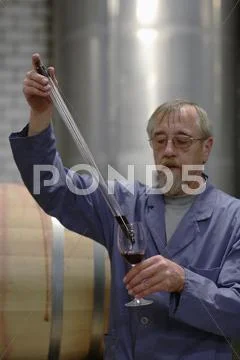 Man Testing Wine From Cask