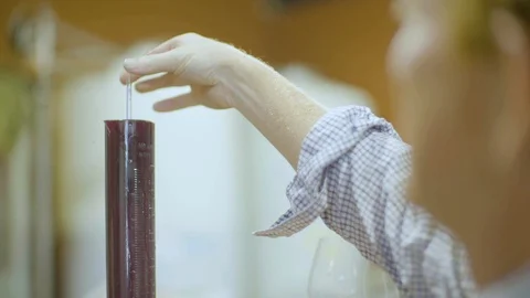 Man testing wine on measuring cylinders glass Stock Footage 87804135