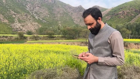 Man Texting on Mobile Phone in Nature Vídeos de archivo 335477723