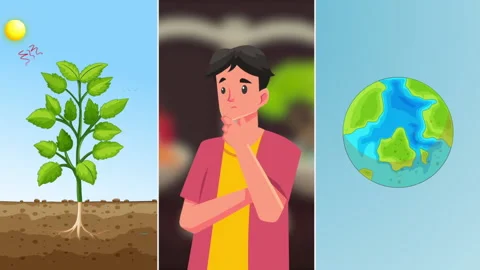 Man Think About Nature Stock Footage 232330403