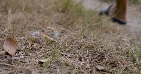 cigarette replacements The facts about smoke-free alternatives