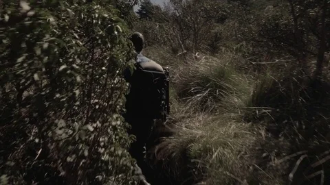 Man through the grasslands Stock Footage 75028692