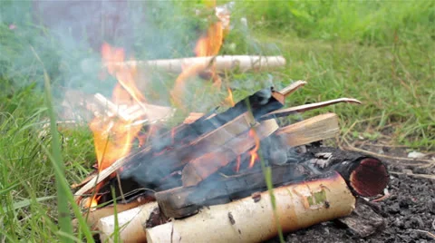 Man throwing firewoods in bonfire (making a bonfire) 動画素材 24812753