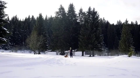Man throwing Frisbee to his Belgian Malinois dog in the snowy forest. Stock Footage 84144595