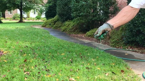 Man throwing out grass seed Stock Footage 94594973