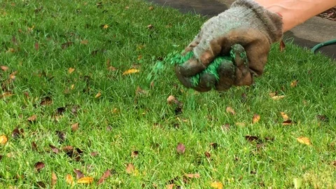 Man throwing out grass seed Stock Footage 94594978