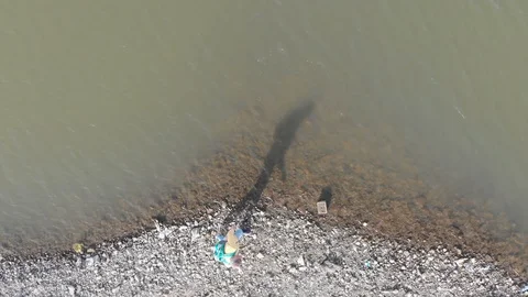 Man throwing small rocks into lake water Stock Footage 120033521