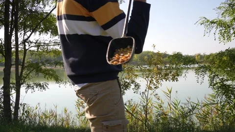 Man throwing some corn in the water Stock Footage 228675123