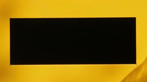 Man throwing trash container waste management. Hand throwing bottle plastic Stock Footage 172219256