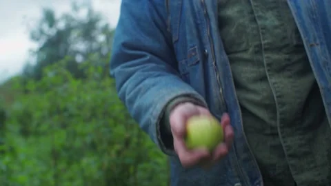 Man throws an apple in his hand Stock Footage 160344895