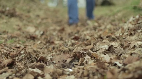 Man throws a cigarette stub in dry foliage Stock Footage 74871427