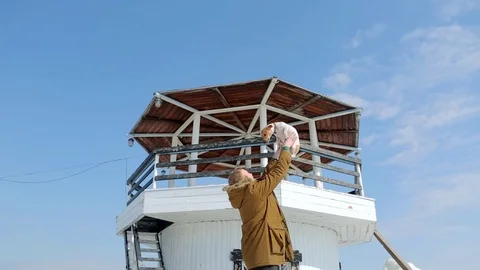 Man throws dog Jack Russell in the background of the lighthouse Stock-Footage 74912402
