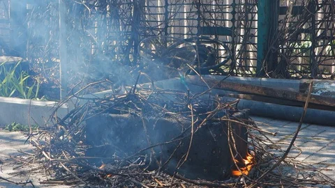 Man throws firewood many branches into the fire. Burning firewood branches close Stock Footage 128146049