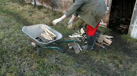 Man throws firewood in a wheelbarrow Stock Footage 10580366