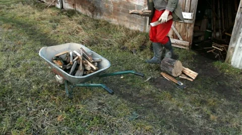 Man throws firewood in a wheelbarrow Stock Footage 10580367