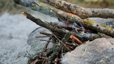 A man throws a log into a fire. The flame of fire in nature. Stock Footage 148337166