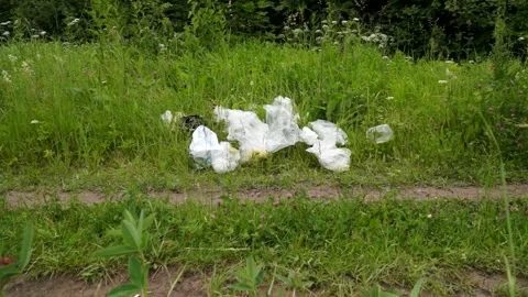 A man throws a plastic bottle in the woods. Environmental pollution Stock Footage 133445098