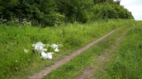 A man throws a plastic bottle in the woods. Environmental pollution Stock Footage 133445116