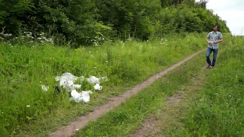 A man throws a plastic bottle in the woods. Environmental pollution Stock Footage 133445139