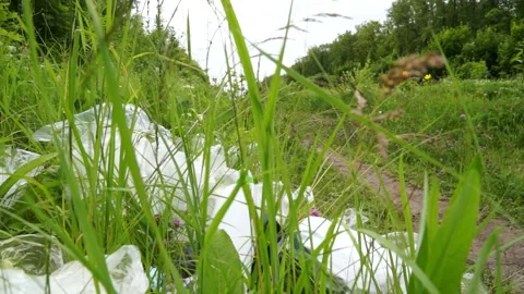 A man throws a plastic bottle in the woods. Environmental pollution Stock Footage 133445147