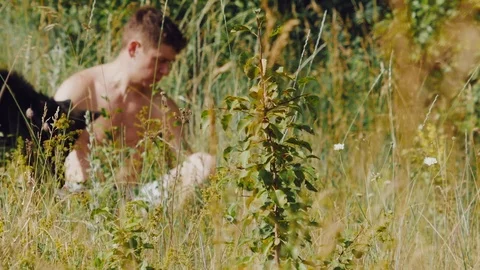 A man throws a stick German shepherd in the meadow and looks at the smartphone Stock Footage 111657607