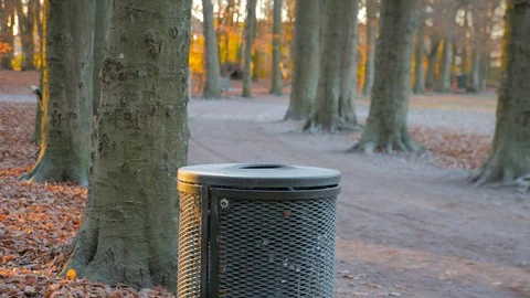 Man throws trash in a trash bin in a park Stock Footage 98958553