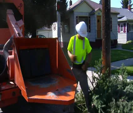 Man throws tree branches into grinder Video stock 21594802