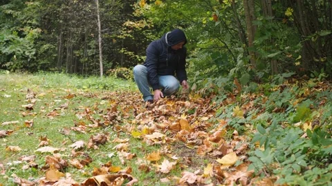 A man throws up yellow fallen leaves. looking at the camera. autumn Stock Footage 172257743