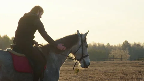 A man touches the horse's head while sitting on horseback Видео 187095405