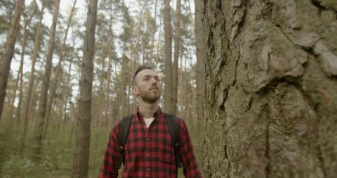 Man Touches Pine Tree 動画素材 109115705