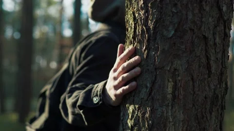 Man touches a pine tree in the forest Stock Footage 191944265