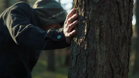 Man touches a pine tree in the forest Stock Footage 191944982