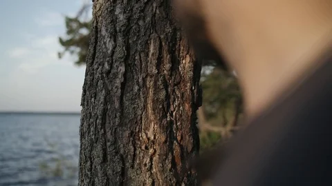 The man touches the tree getting in touch with nature Stock Footage 107325433