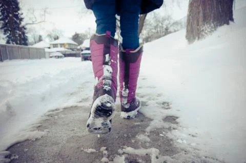 A man touching a cow's face Stock Photos
