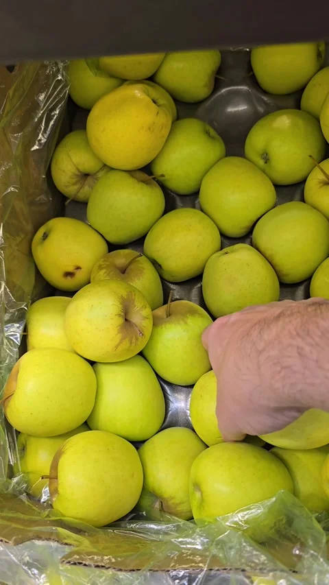 Man touching at green apples in crate in fruit section of supermarket. Human Stock Footage 301625244