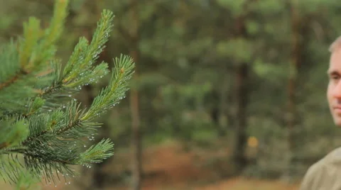 The man is touching the tree and dew dripping from it. Man smiling Video stock 64661548
